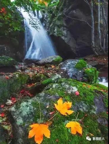 微信图片_20191230102532.jpg 微信图片_20191230102532.jpg