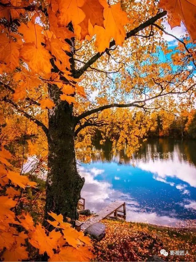 微信图片_20191230102536.jpg 微信图片_20191230102536.jpg