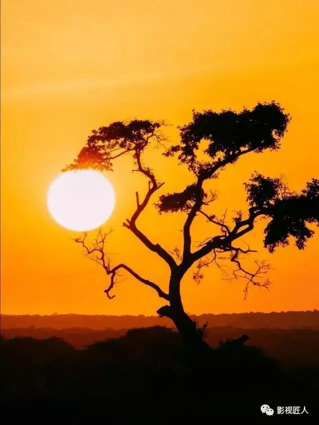 微信图片_20191230102540.jpg 微信图片_20191230102540.jpg