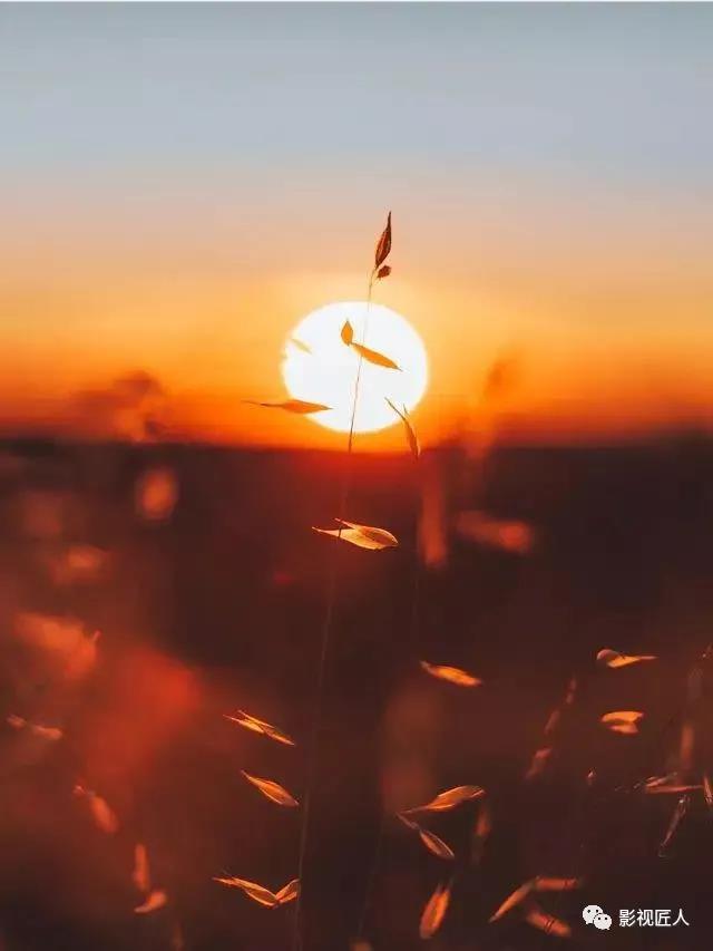 微信图片_20191230102545.jpg 微信图片_20191230102545.jpg