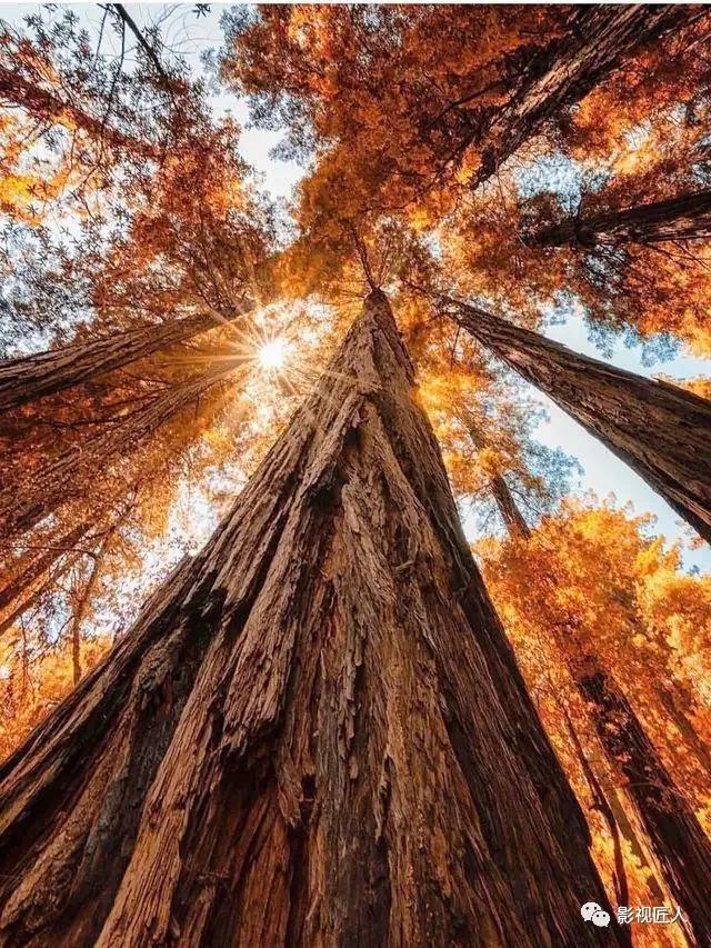 微信图片_20191230102553.jpg 微信图片_20191230102553.jpg