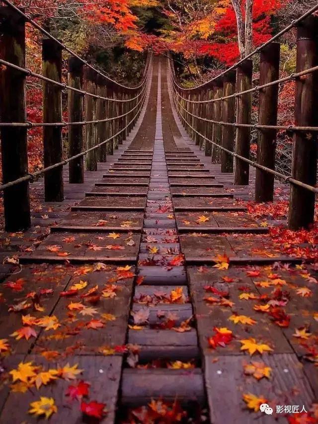 微信图片_20191230102556.jpg 微信图片_20191230102556.jpg