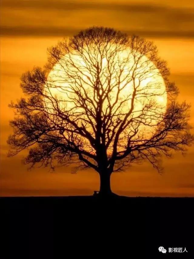 微信图片_20191230102604.jpg 微信图片_20191230102604.jpg