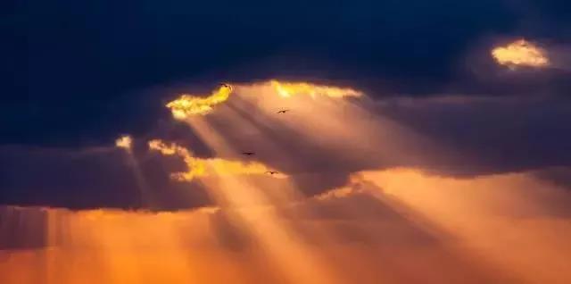 微信图片_20191230103800.jpg 微信图片_20191230103800.jpg