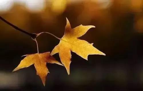 微信图片_20191230103825.jpg 微信图片_20191230103825.jpg